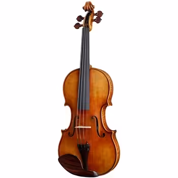 ویلن آکوستیک کارل هافنر مدل H225-AS