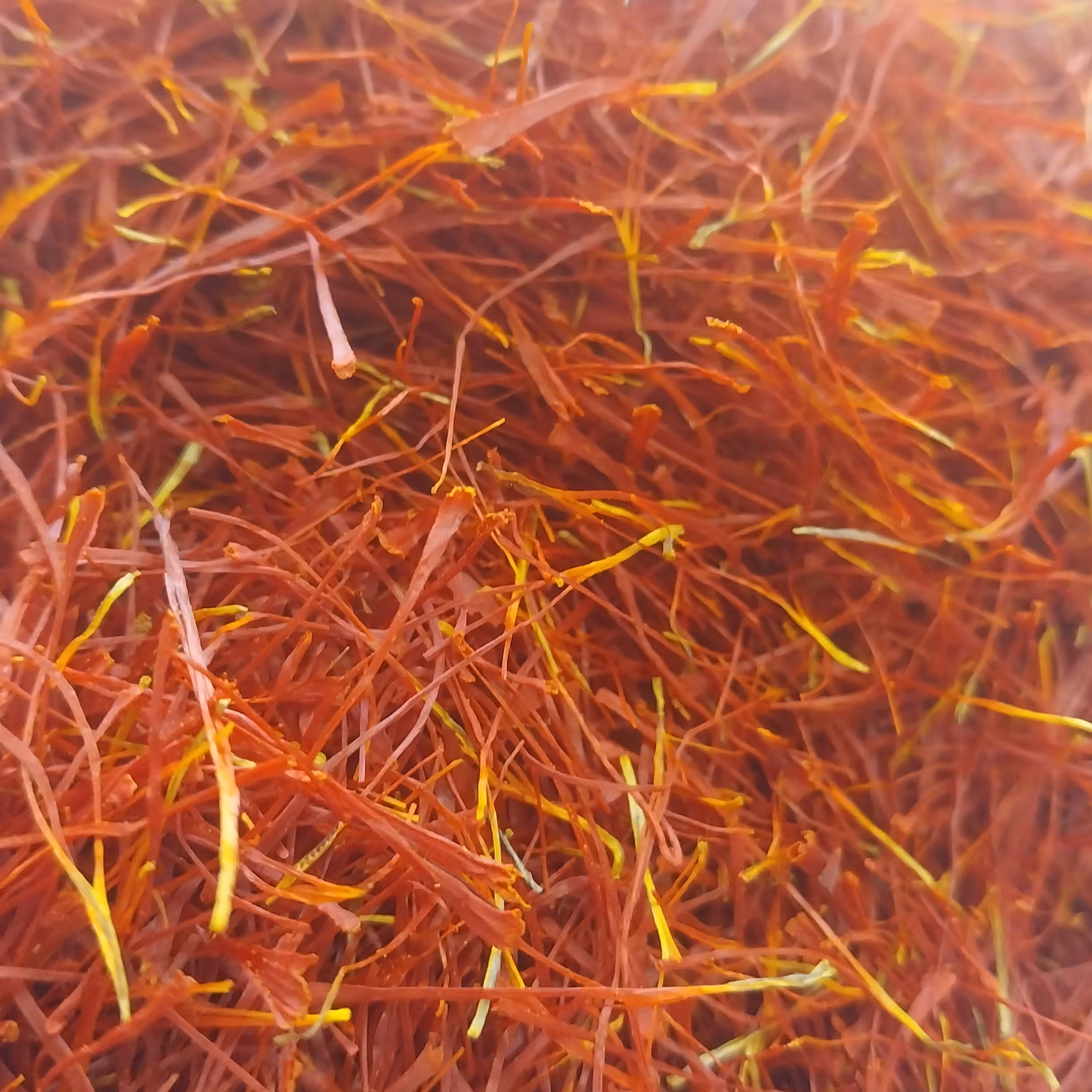 زعفران کاشمر 