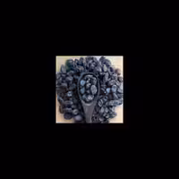 مویز بی هسته افغان