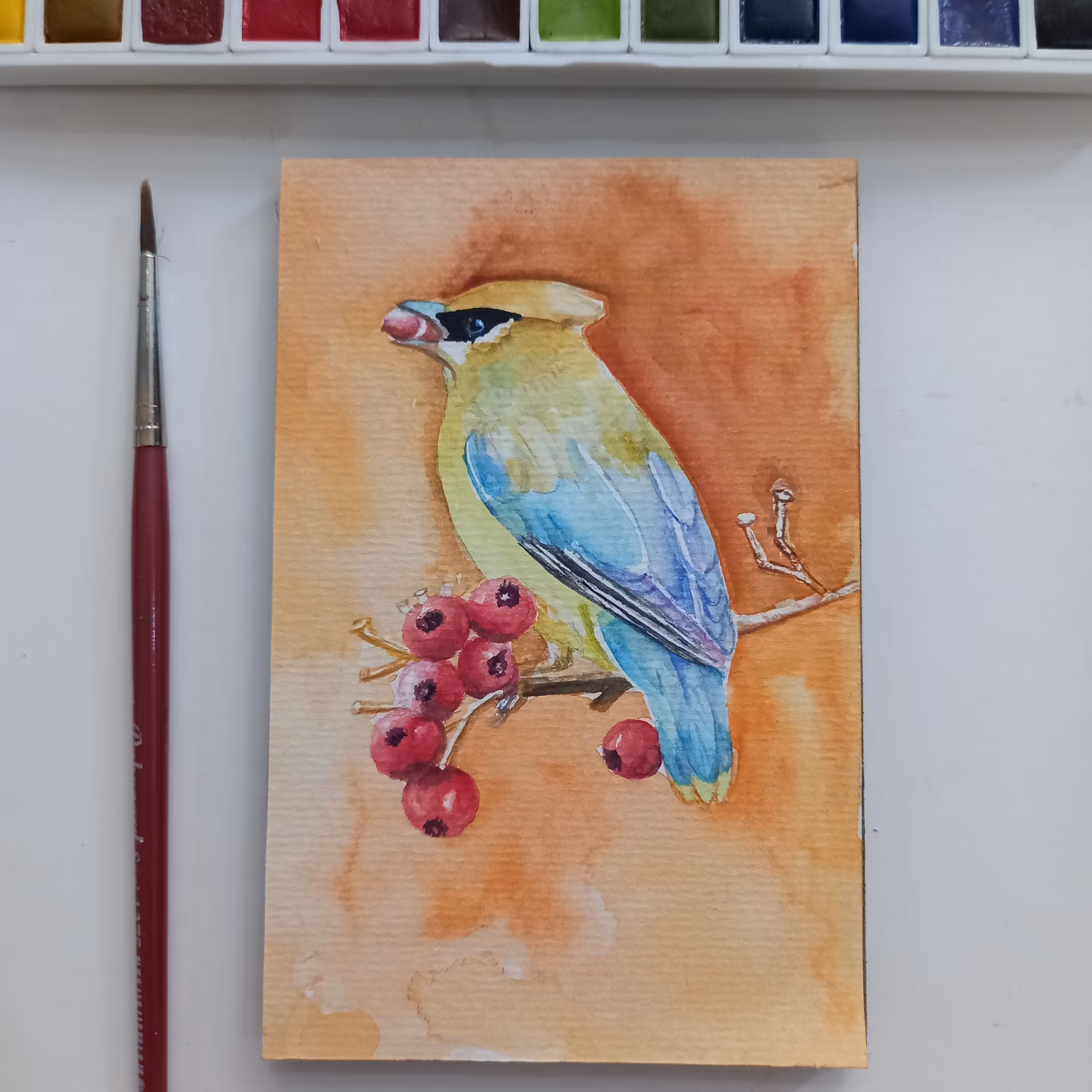 نقاشی آبرنگ طرح پرنده کد104