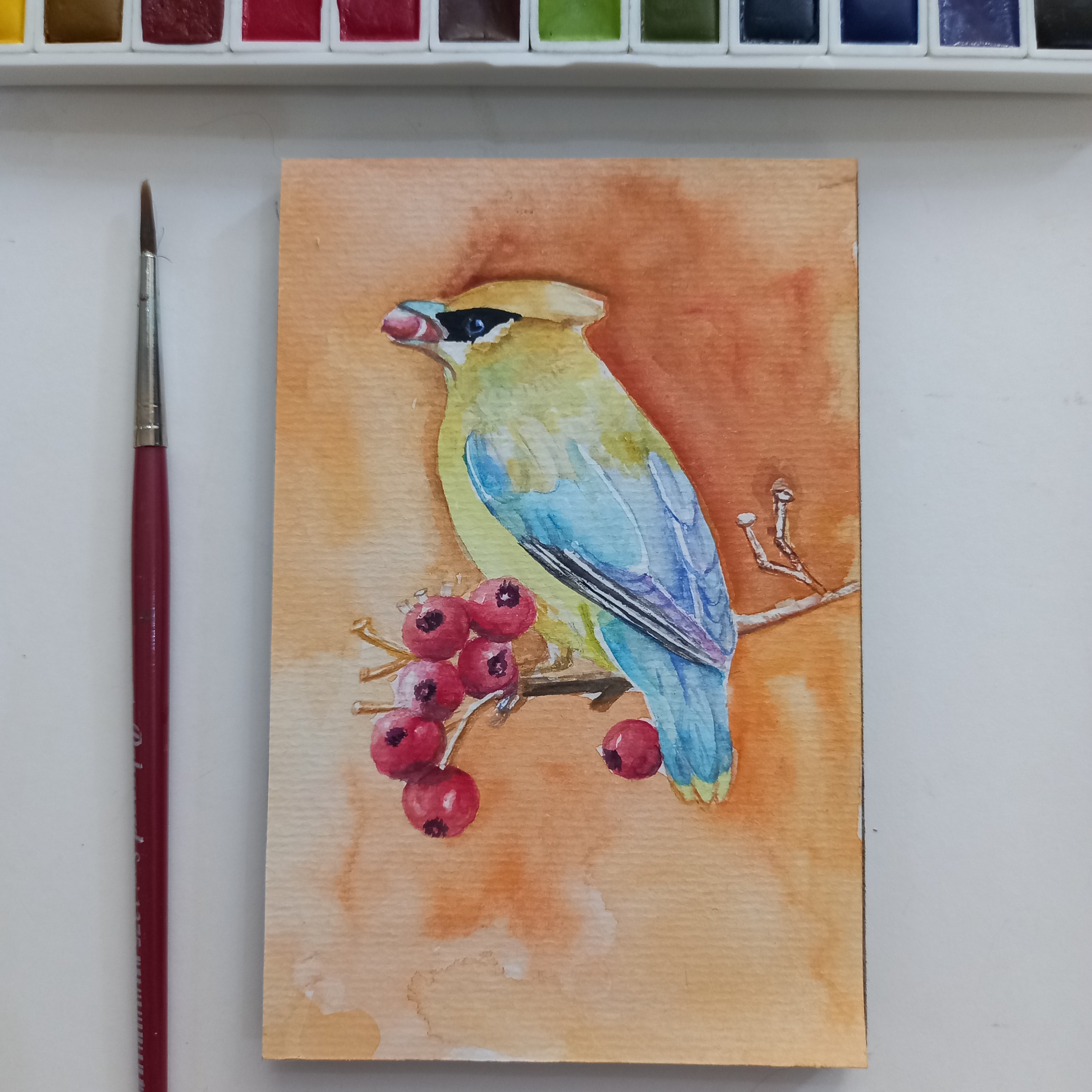 نقاشی آبرنگ طرح پرنده کد104