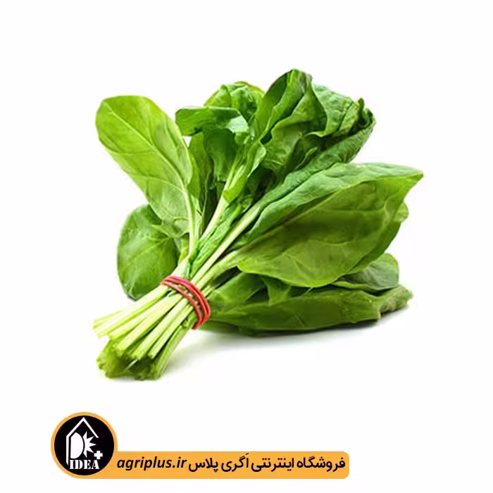 بذر شاهی آزادی