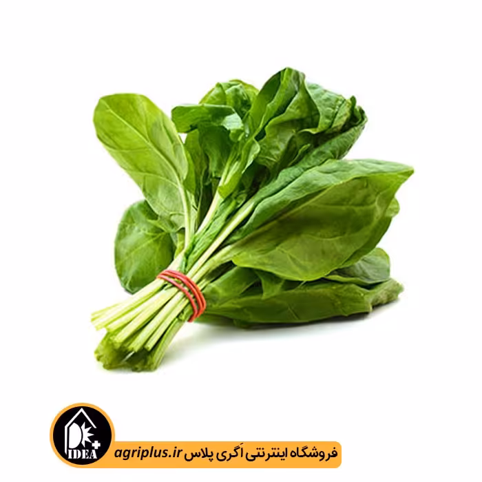 بذر شاهی آزادی