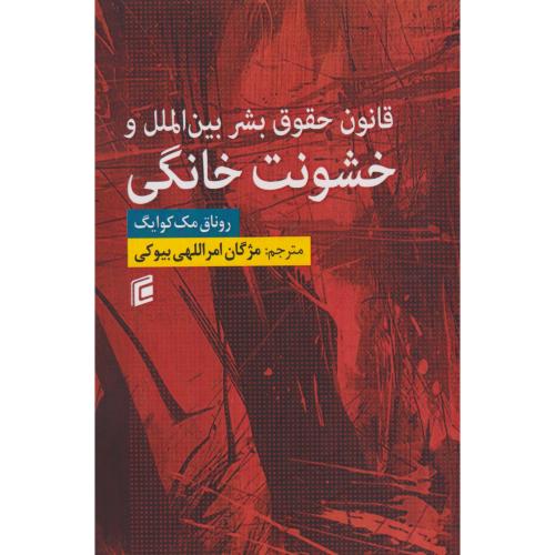 کتاب قانون حقوق بشر بین الملل و خشونت خانگی