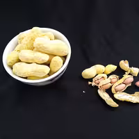 بادام زمینی غلاف دار نمکی تازه(500گرمی)