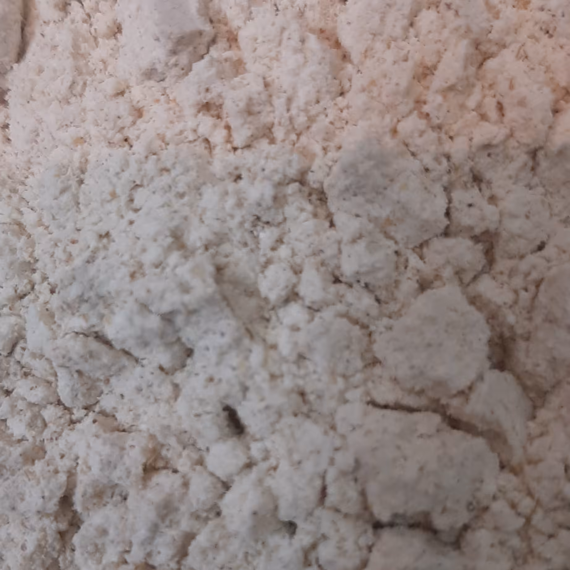 پودر سیر اعلا