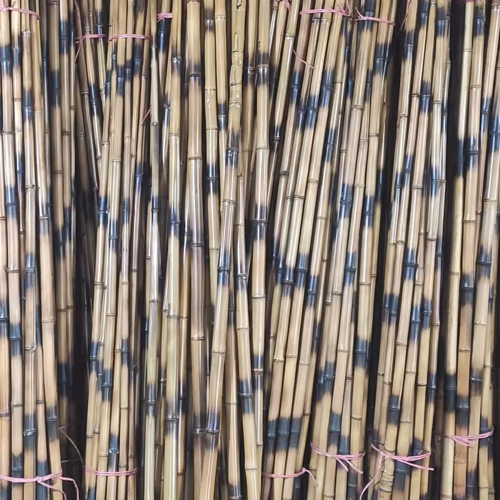 دکوری چوب بامبو طلایی مشکی قطر 3 ( بسته 5تایی) نی بامبو خیزران