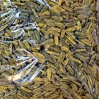 تخمه سنقری گلپر درشت یک کیلوی