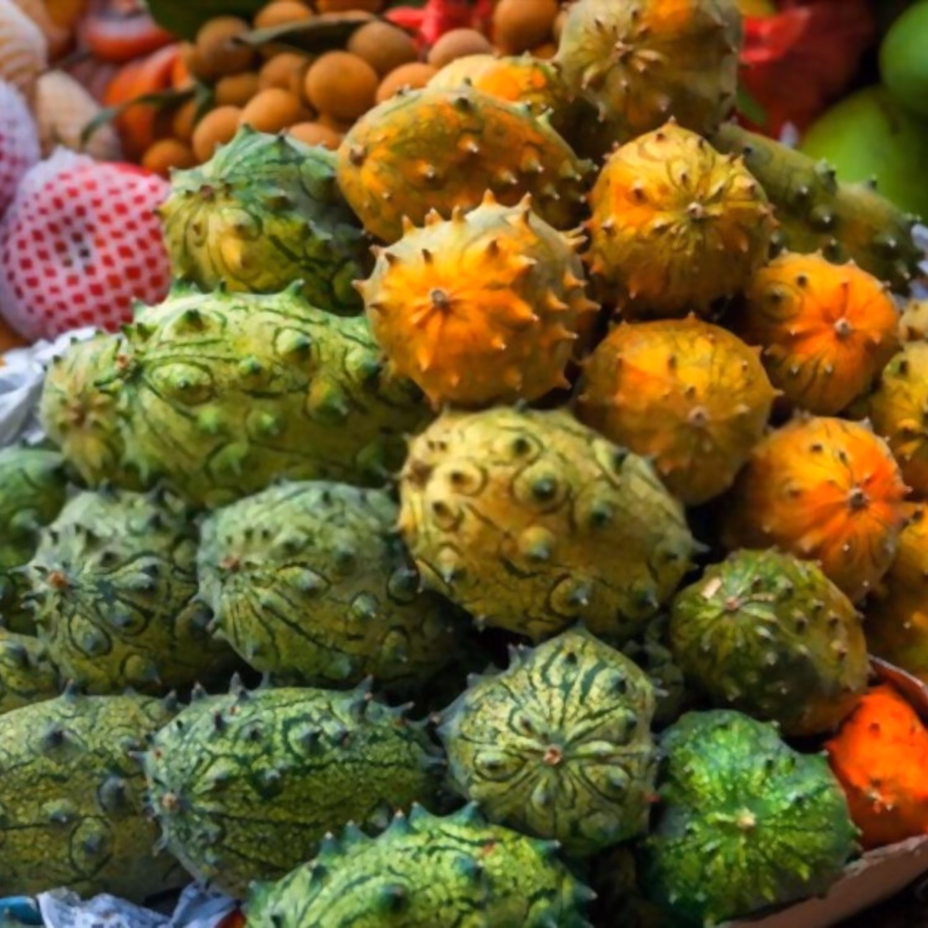 بذر خیار گرد آفریقایی (خربزه شاخ دار)