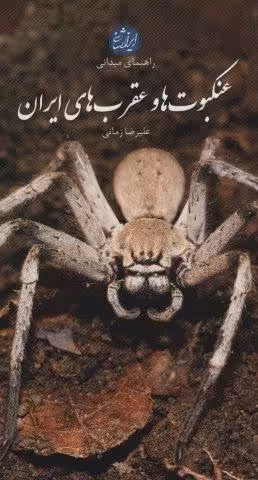 عنکبوت ها و عقرب های ایران (راهنمای میدانی)،(گلاسه)