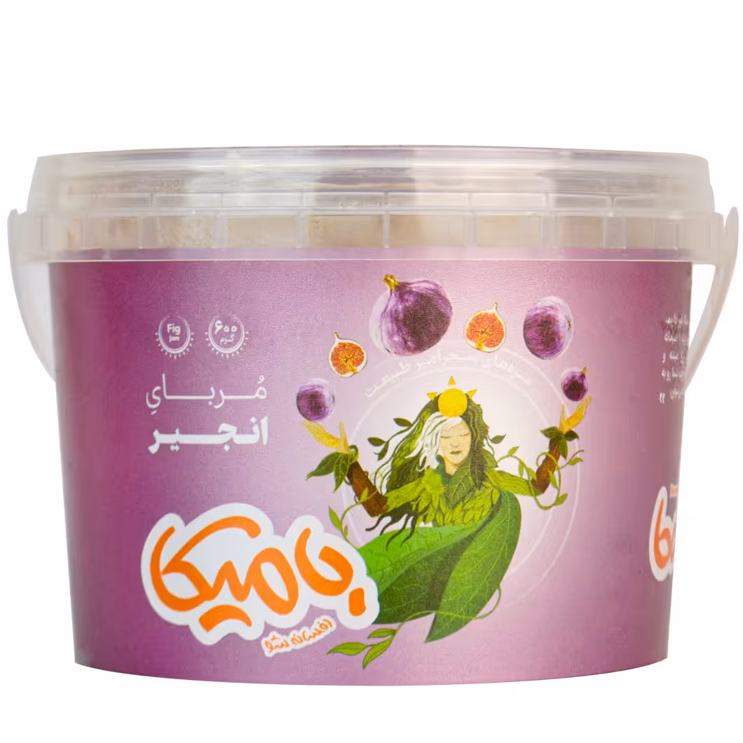 مربا انجیر - 600 گرم iml 
