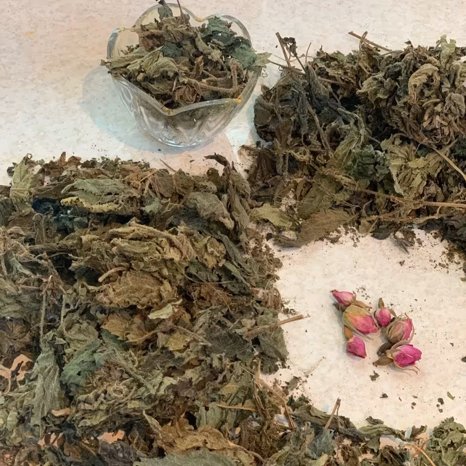 گزنه خشک تمیز و درجه 1  100 گرمی