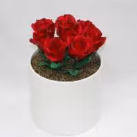 گل مصنوعی آمیتیس رزکوچک