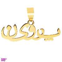آویز گردنبند طلا 18عیار زنانه طرح پروین کد SG042