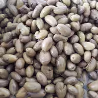 زیتون شکسته سنتی ماری ریز و متوسط