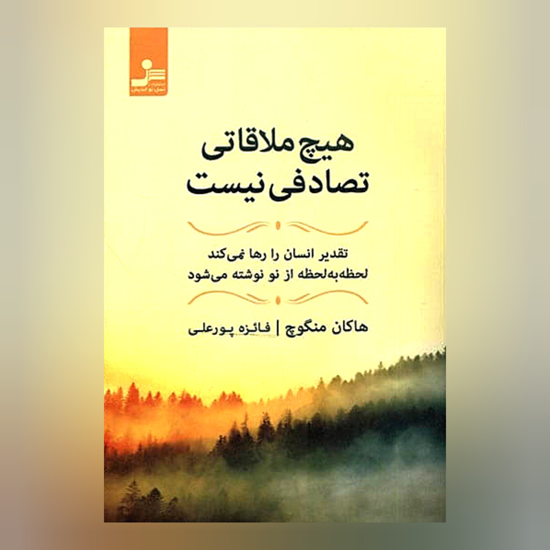 کتاب هیچ ملاقاتی تصادفی نیست