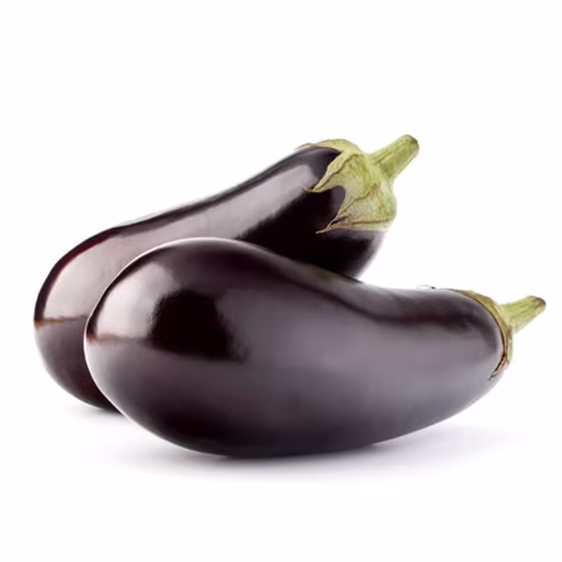 بذر بادمجان دلمه 