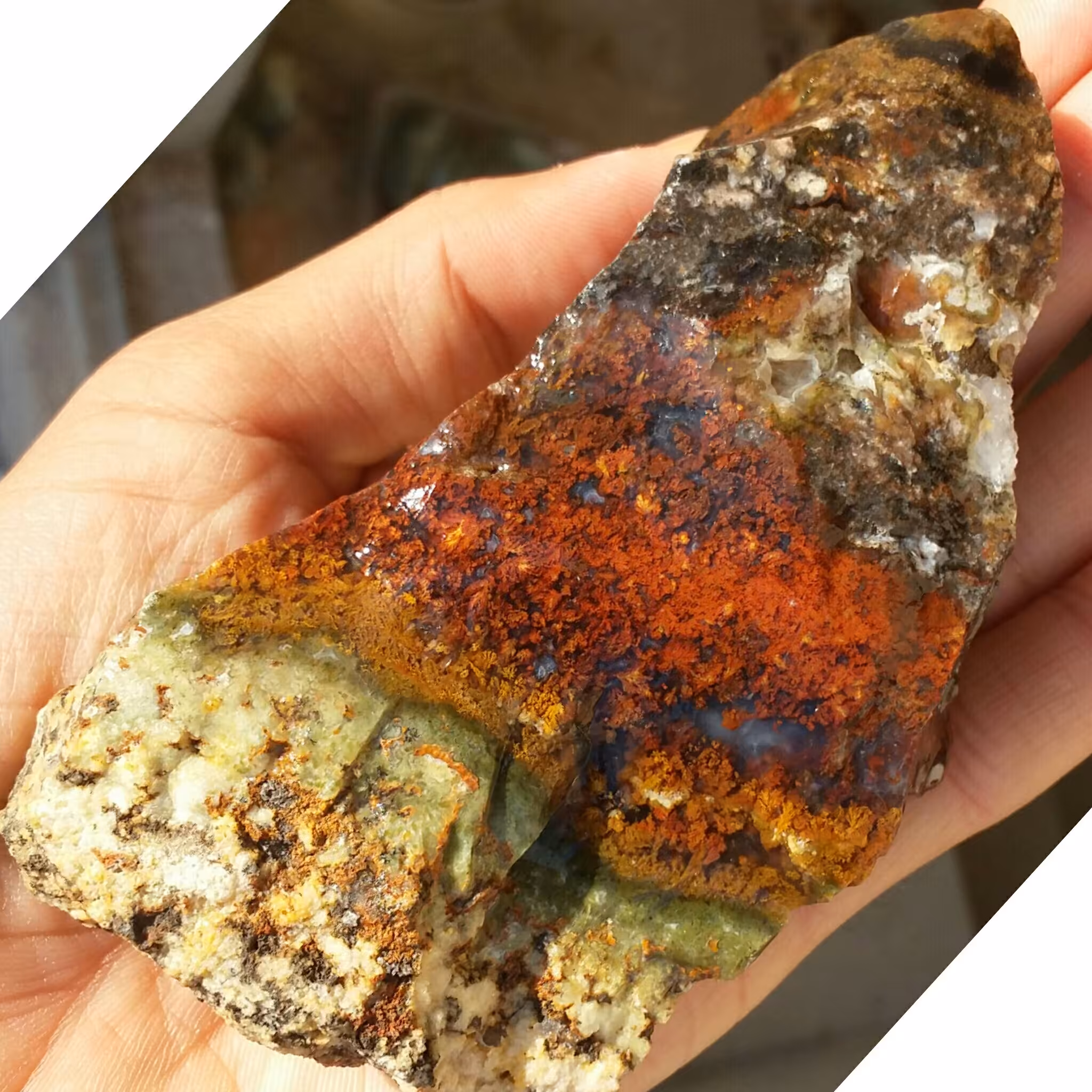 سنگ راف شجر 7رنگ خارق العاده زیبا محشرررر کاملا طبیعی نمونه ای فوق العاده خاص تکرار نشدنی با قابلیت ساخت چندین نگین خاص