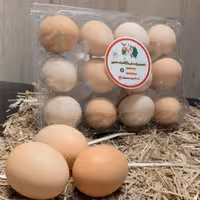 تخم مرغ محلی،اُرگانیک و بدون آنتی بیوتیک 12عددی