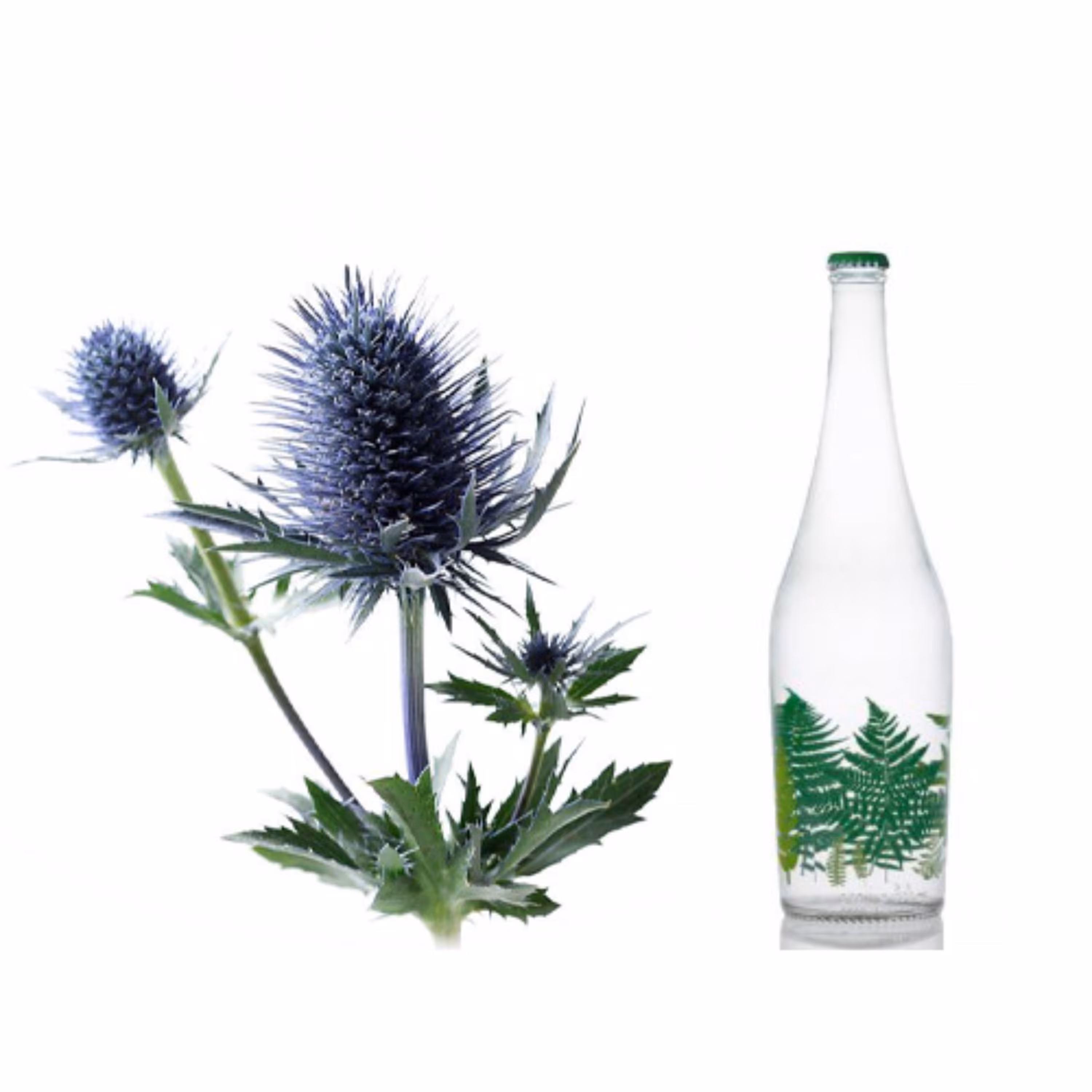 عرق بوقناق یک لیتری