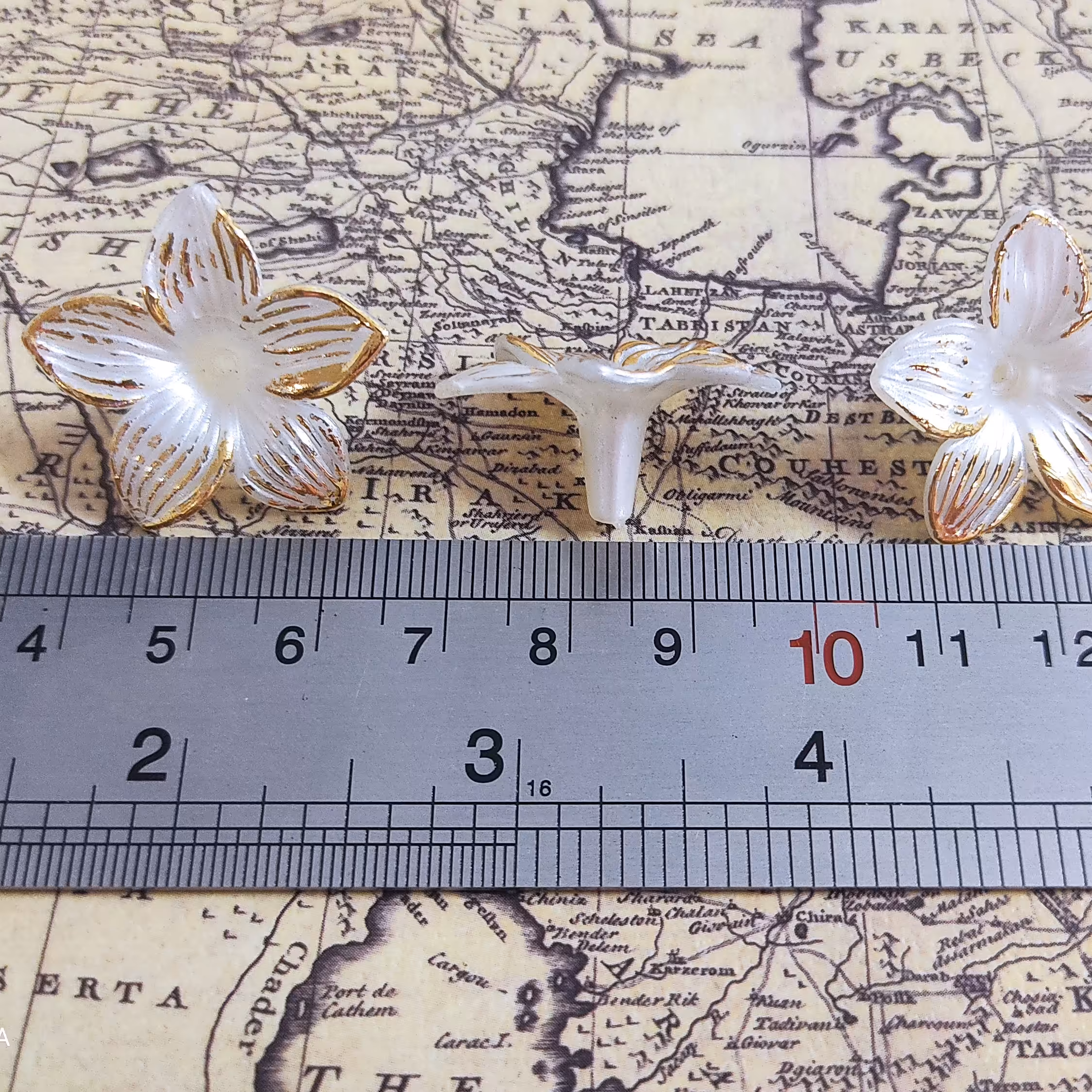 گلبرگ ( شکوفه ) سفید دور طلایی سایز متوسط 