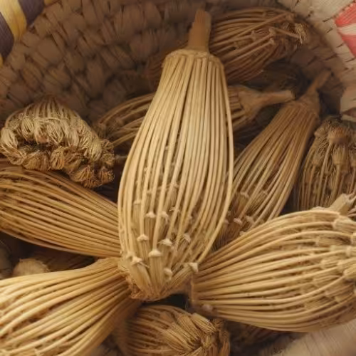 خلال دندان طبیعی
قیمت های عمده باور نکردنی را در توضیحات مشاهده کنید