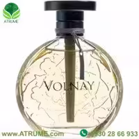 عطر ادکلن ولنی آمبر د سیام 100 میل مردانه - زنانه