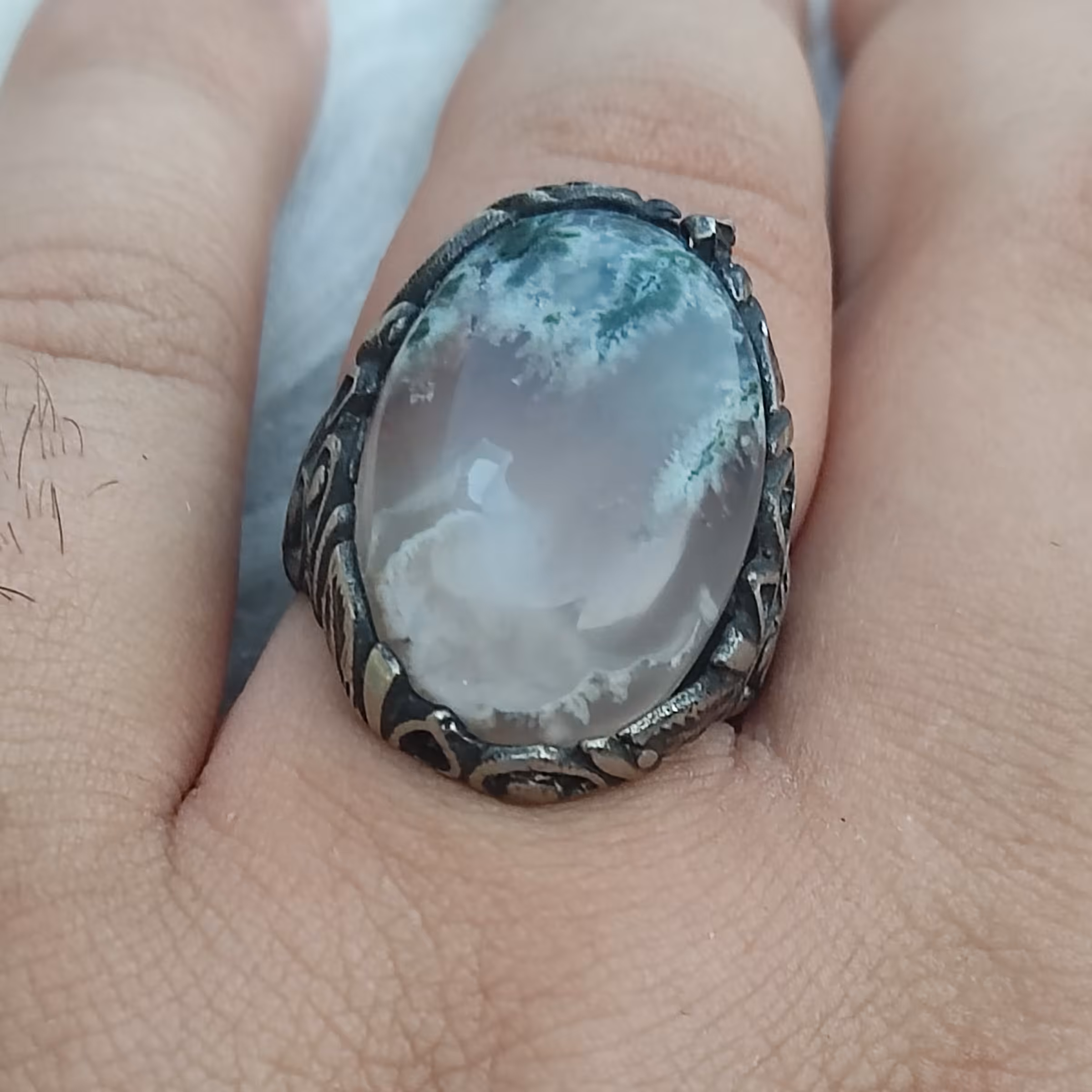 انگشتر  شجر  خزه ای