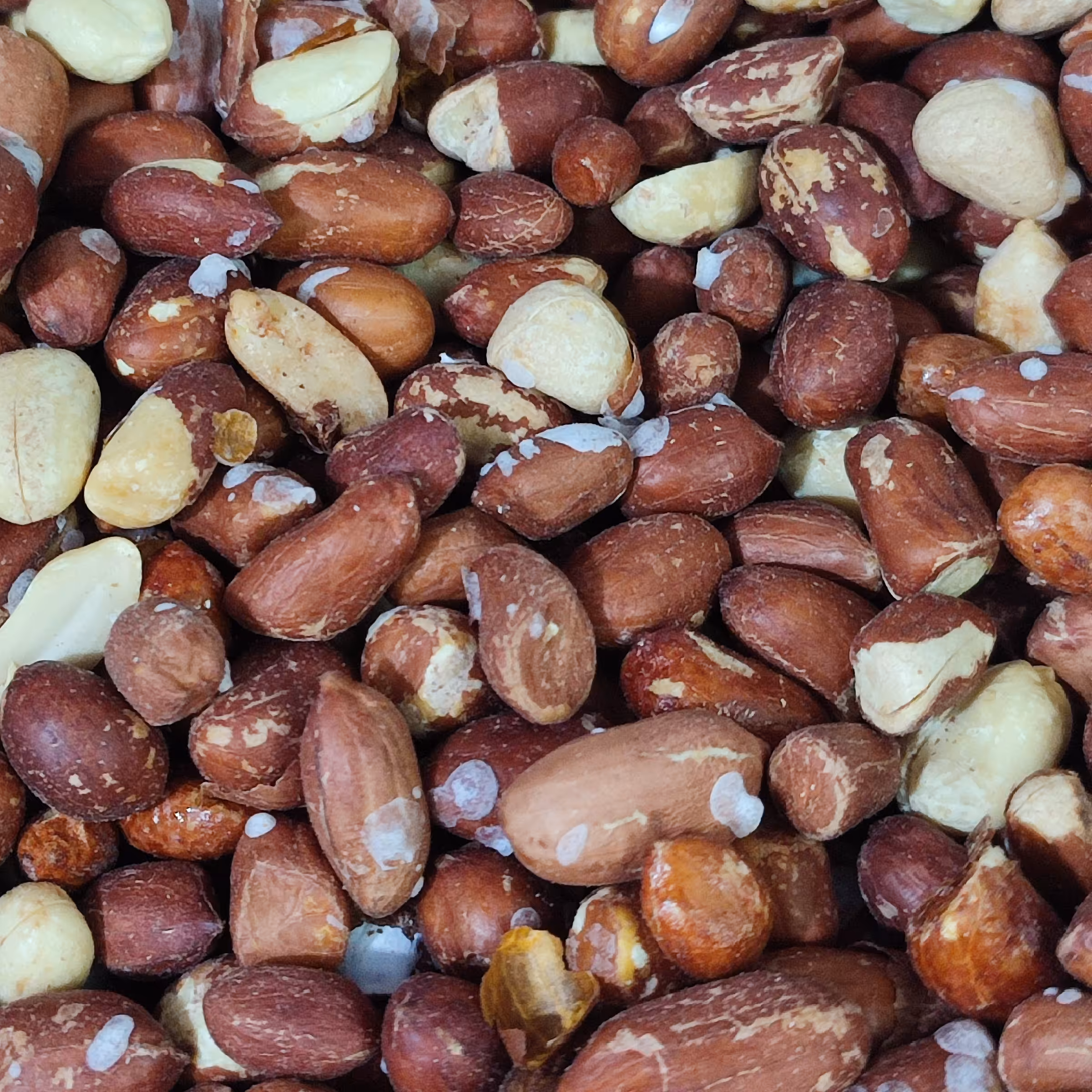 بادام زمینی خارجی تگری 500 گرمی