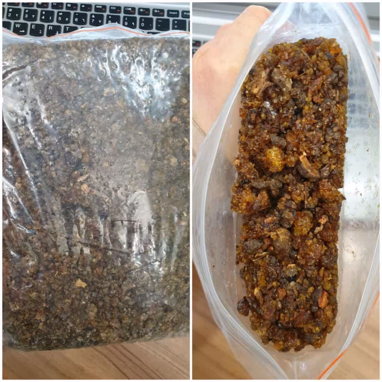 مقل ارزق اصلی 50 گرم