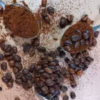 فول کافئین  100 روبوستا(بسته 5کیلویی)