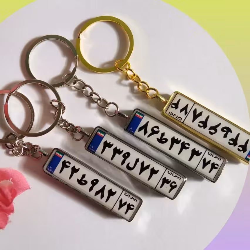 جاسویچی پلاک ماشین