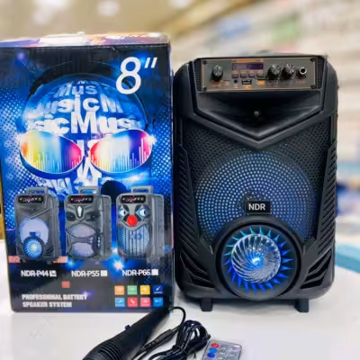 اسپیکر شارژری 8 اینچ مدل NDR-P44