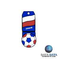 فلش مموری فانتزی دایا دیتا  پرچم فرانسه مدل PS1012-5 ظرفیت64GB -USB2 