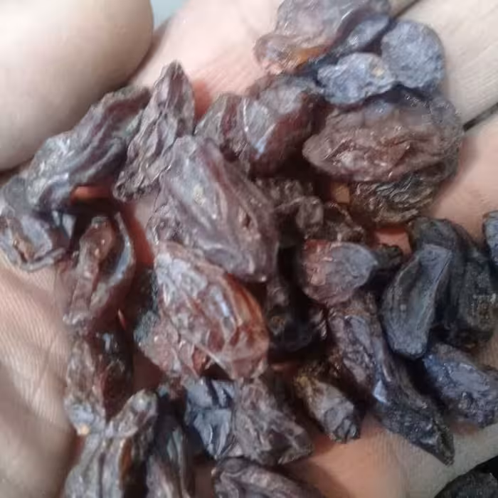 مویز رطبی صادراتی 1 کیلوگرم درشت و یک دست و کاملا پاک شده و طبیعی و ارگانیک