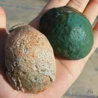 مجموعه 2عددی سنگ راف خام عقیق برش نخورده با کیفیت 100 در 100 طبیعی شاهکار خلقت
با قابلیت ساخت چند نگین بینظییر
کد 8930