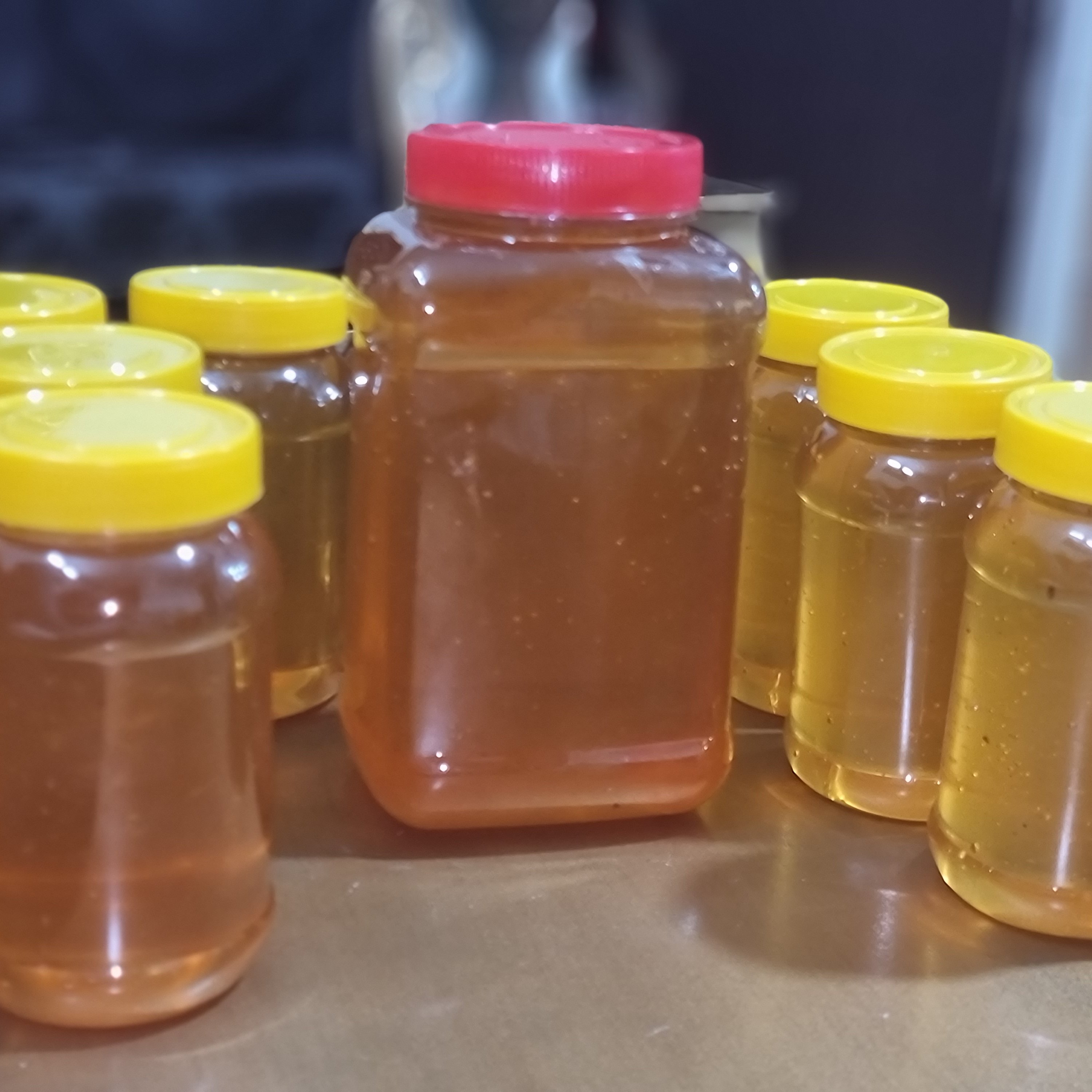 عسل گون تقویت روده تقویت حافظه بهبود دیابت بهبود گرفتگی صدا  یک کیلویی دوکیلویی سه کیلویی