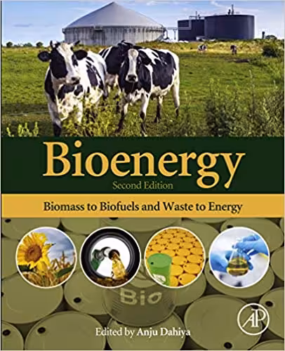 󾕇 دانلود کتاب Bioenergy - Biomass To Biofuels And Waste To Energy, 2nd ed, 2020 - دانلود کتاب های دانشگاهی
