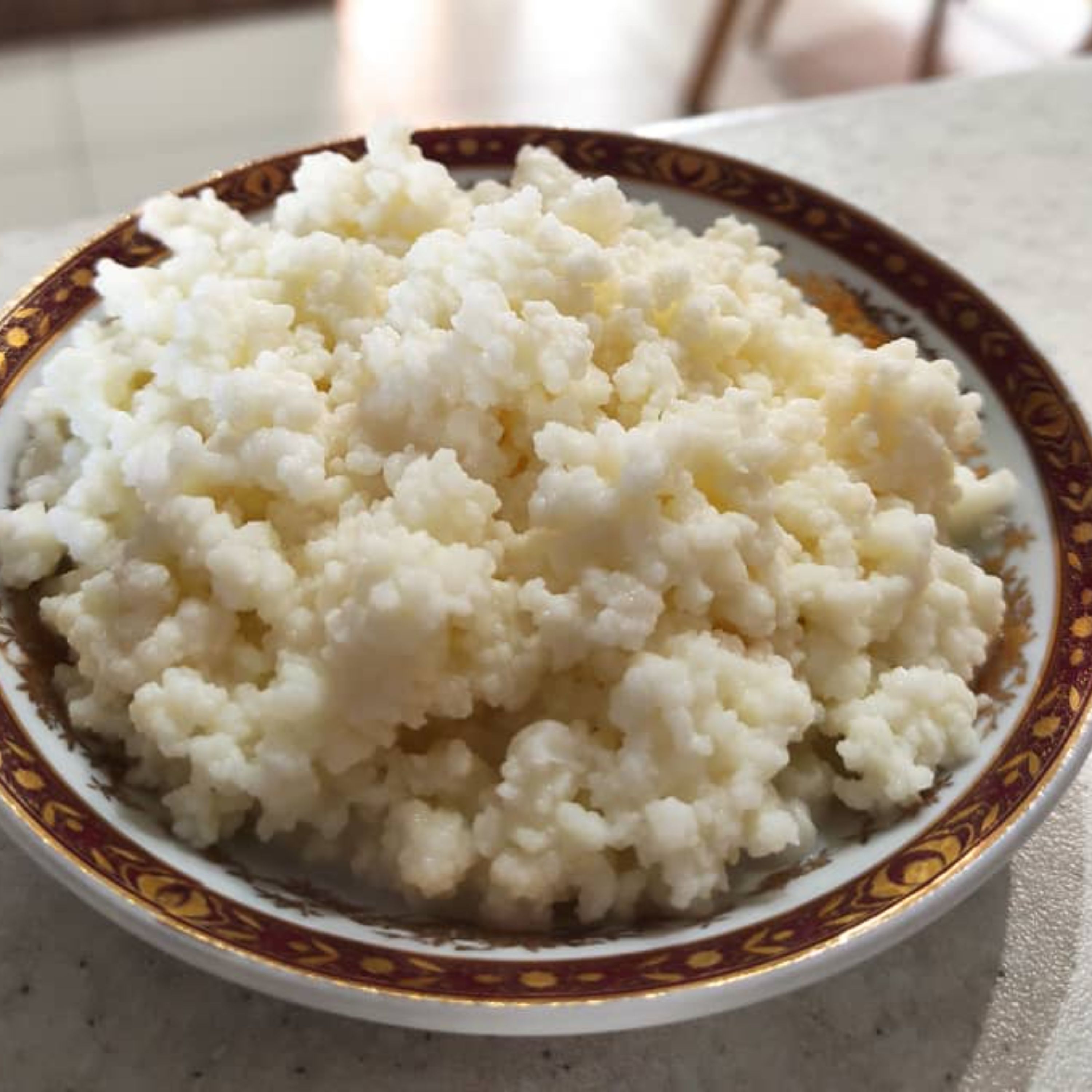قارچ کفیر فله(1000 گرم)