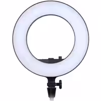 رینگ لایت گودکس Godox LR180 Daylight Ringlight