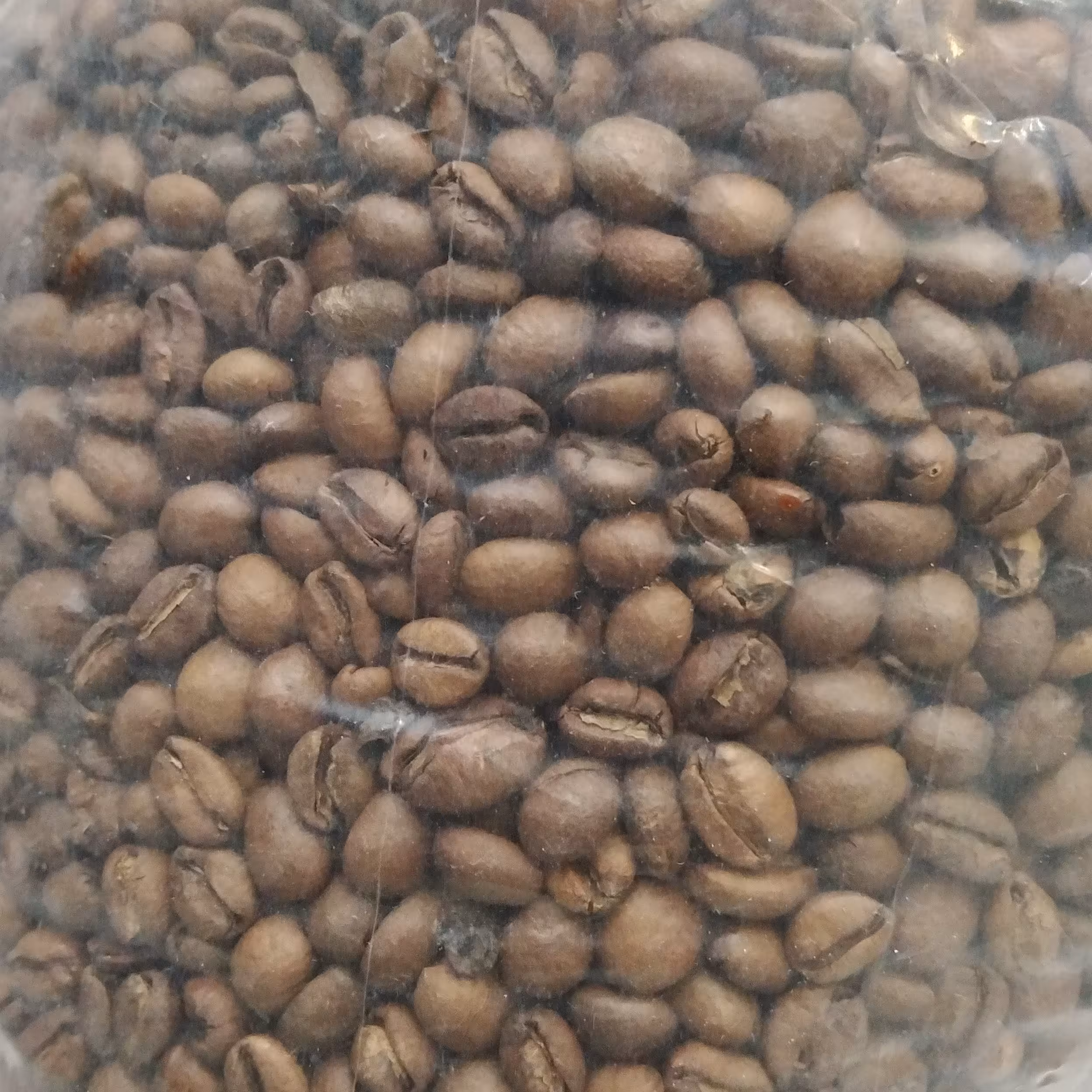 دانه قهوه لائوس