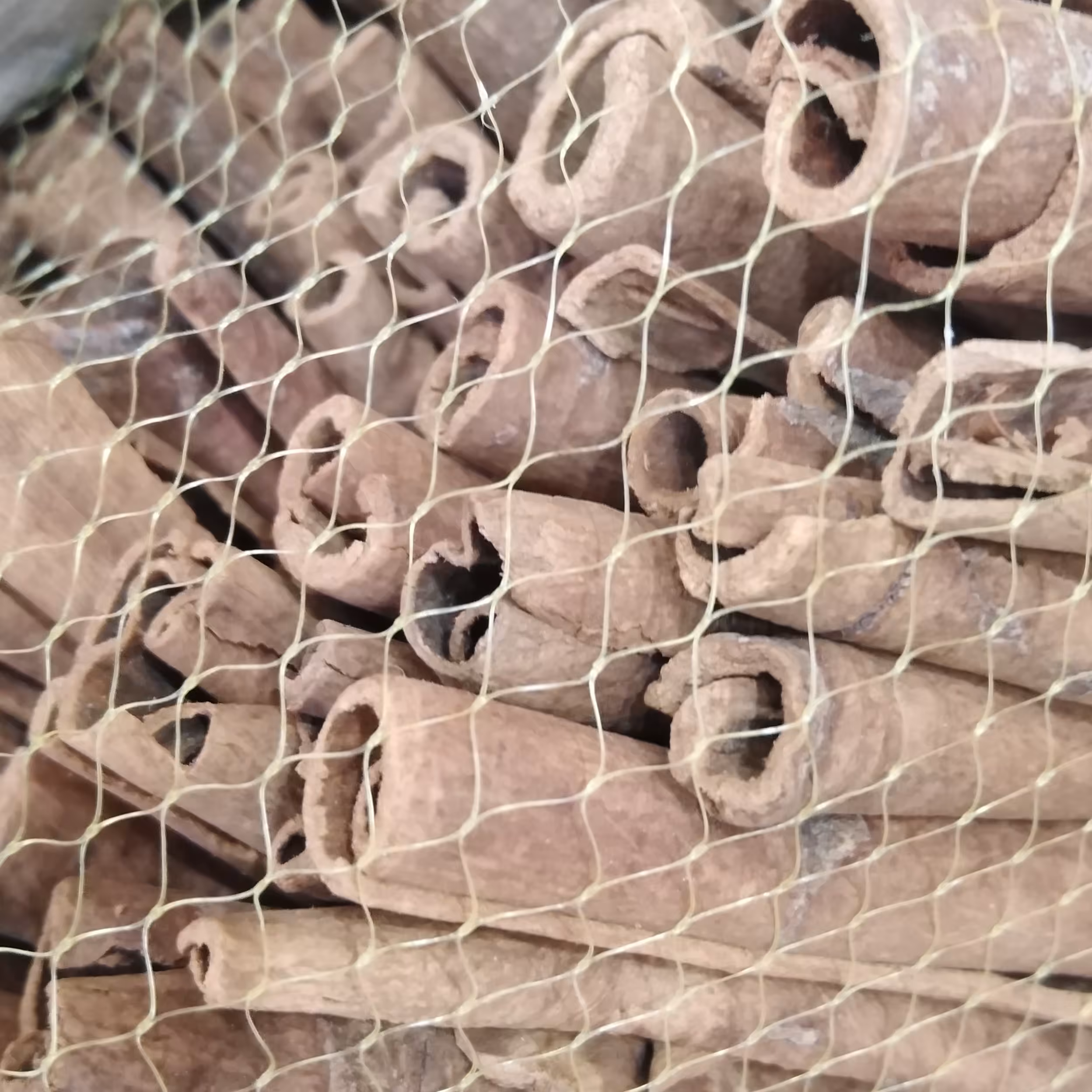 دارچین نیم کیلو لوله ای با کیفیت، تهیه شده از پر فروش ترین عطاری شهرمان 