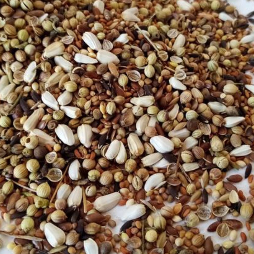 هفت تخم درجه 1 مخصوص قناری 240 گرم