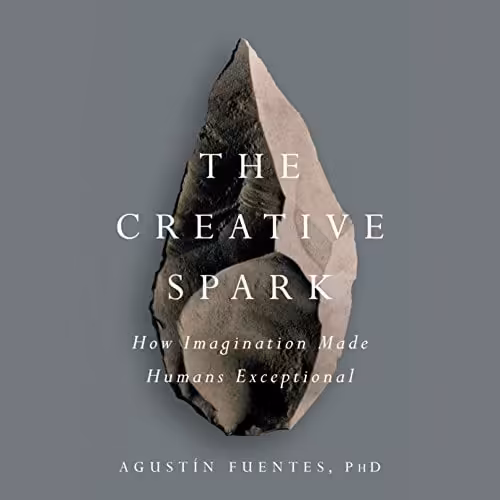 󾕇 دانلود کتاب The Creative Spark - How Imagination Made Humans Exceptional, 2017 - دانلود کتاب های دانشگاهی
