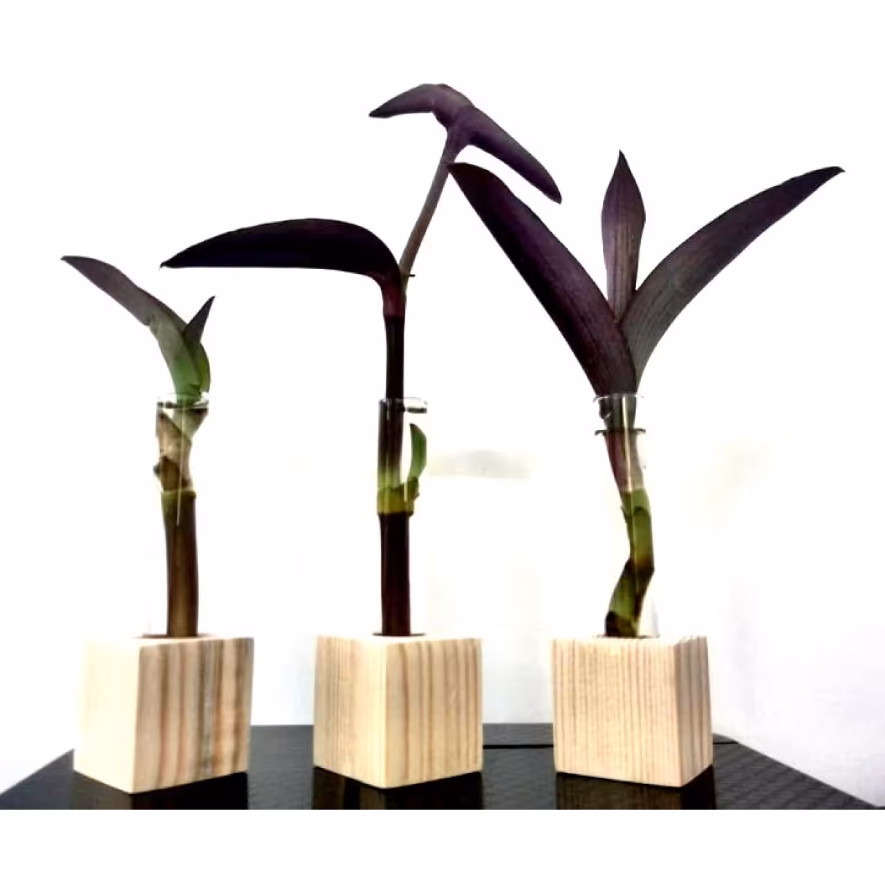 گلدان چوبی مدل Ik1002