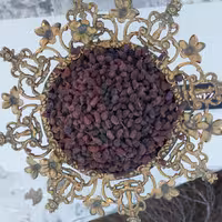 مویز(فخری)هسته دار درجه 1(بدون دُم)-یک کیلویی