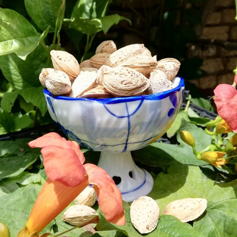 بادام پوست کاغذی اعلا(500گرمی) ارسال رایگان به سراسر کشور
