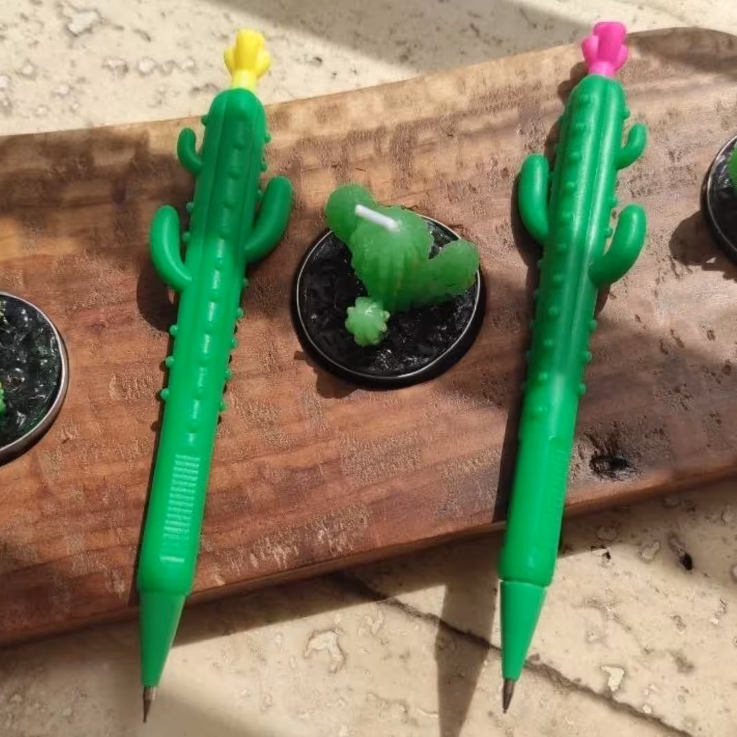 اتود کاکتوس 