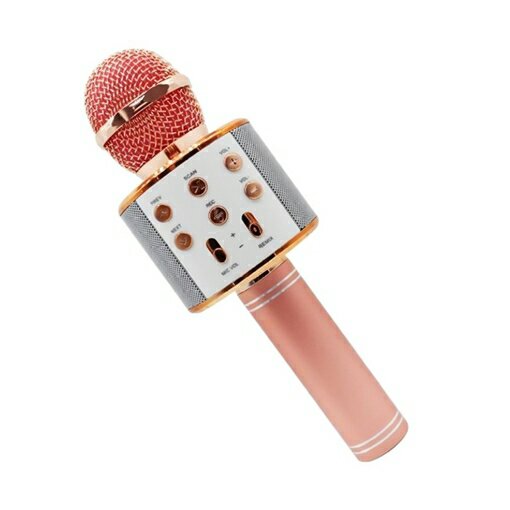 اسپیکر بلوتوث میکروفونی مدل WS-858