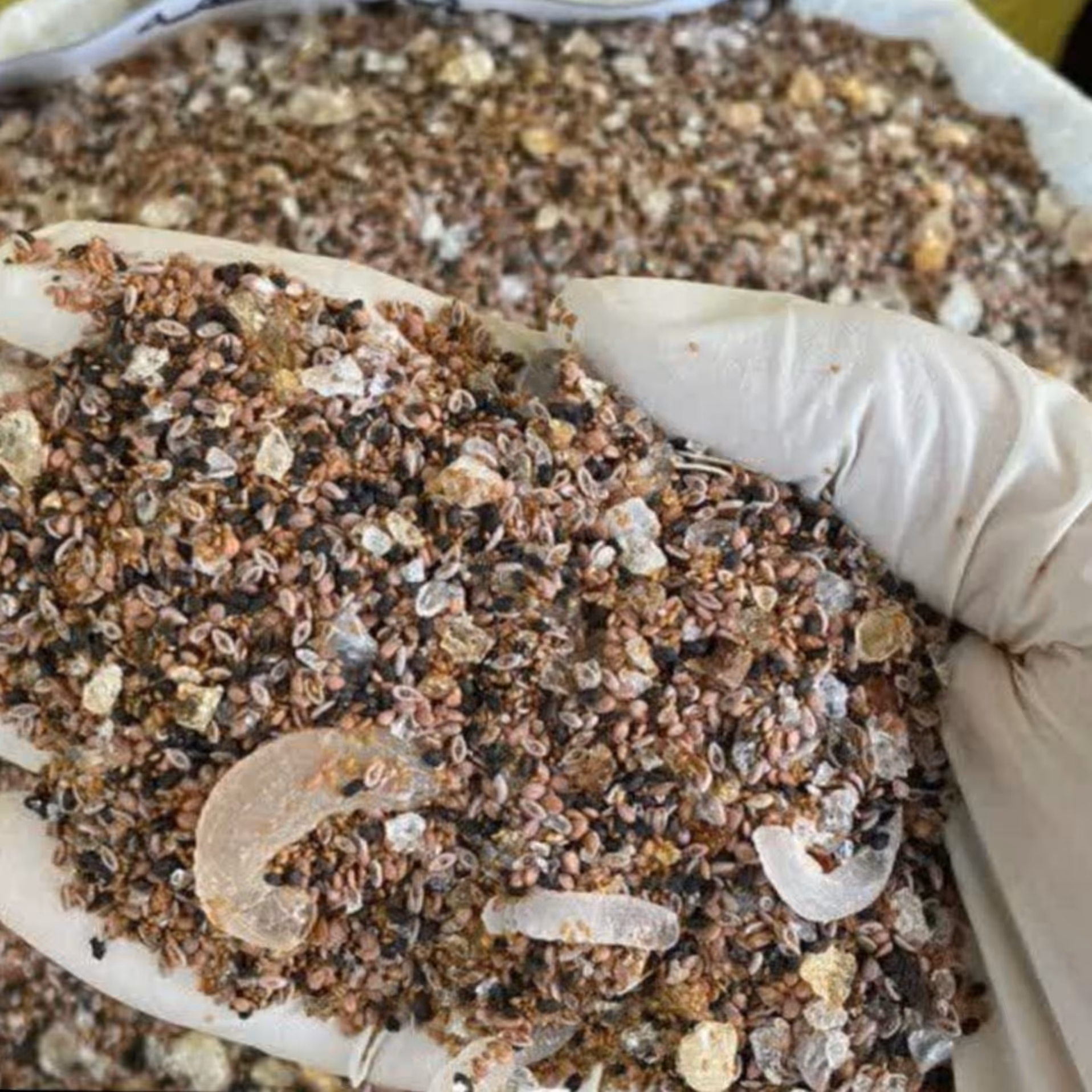 چهارتخمه بسته  700 گرمی کیفیت فوق العاده عالی چهار تخمه